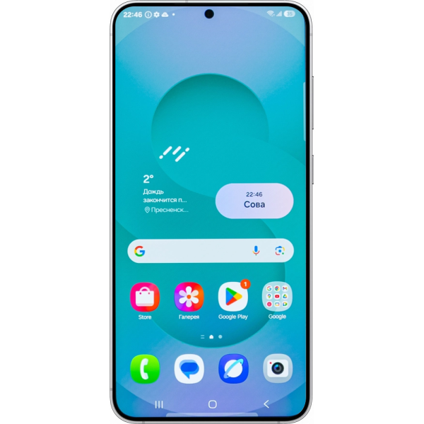 Samsung Galaxy S25 Plus серый 2